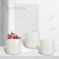 Bloom | بلوم