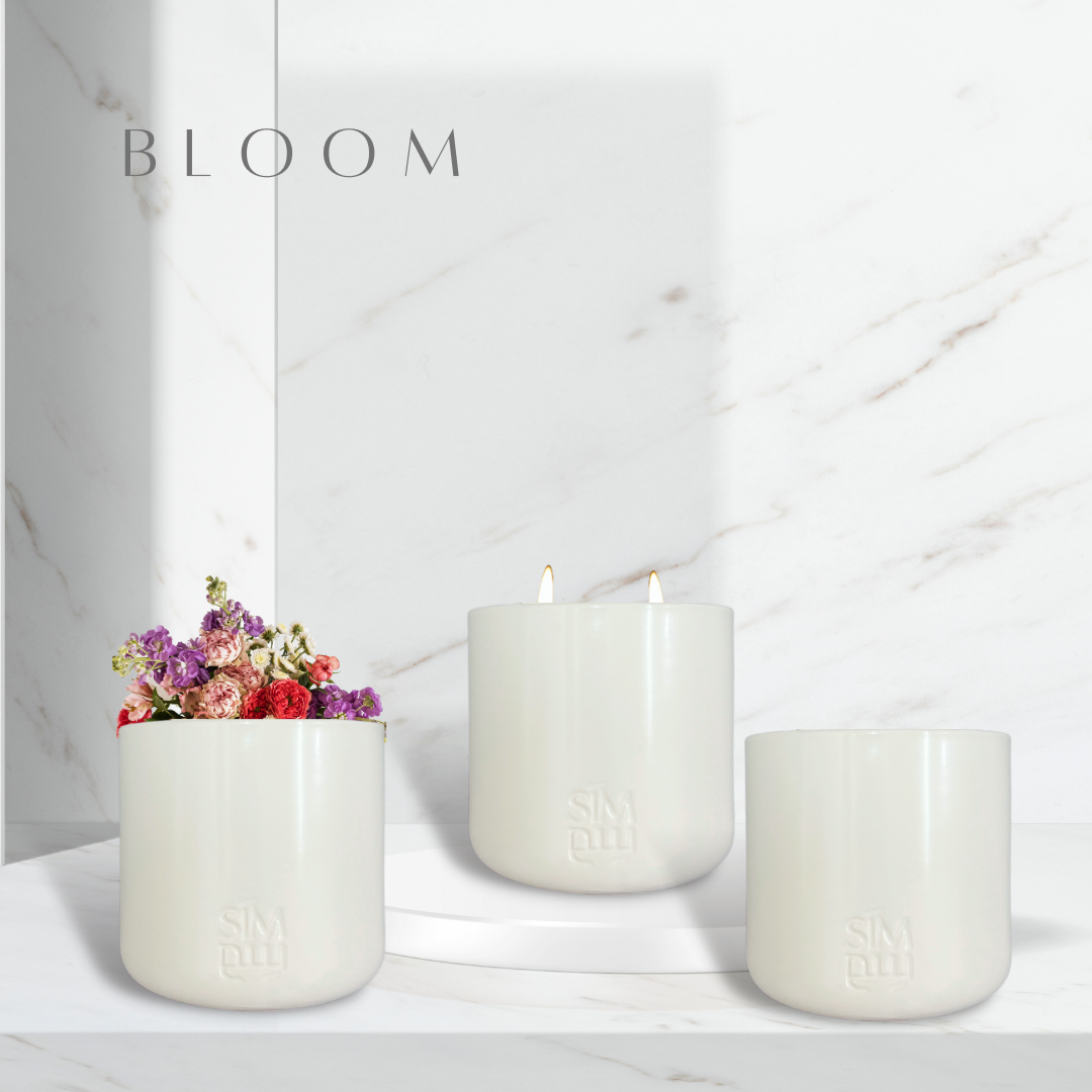 Bloom | بلوم