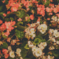 Bloom | بلوم