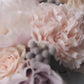 Bloom | بلوم