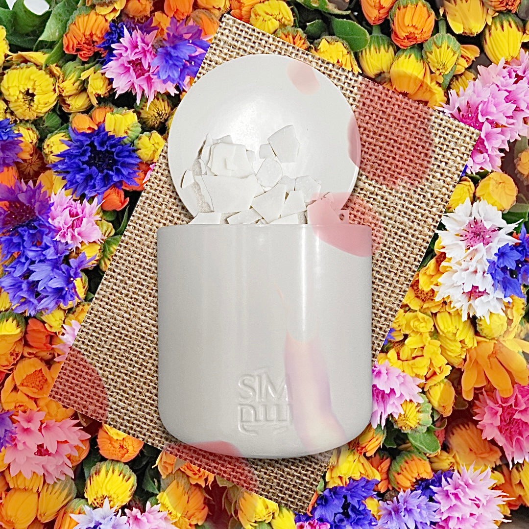 Bloom | بلوم